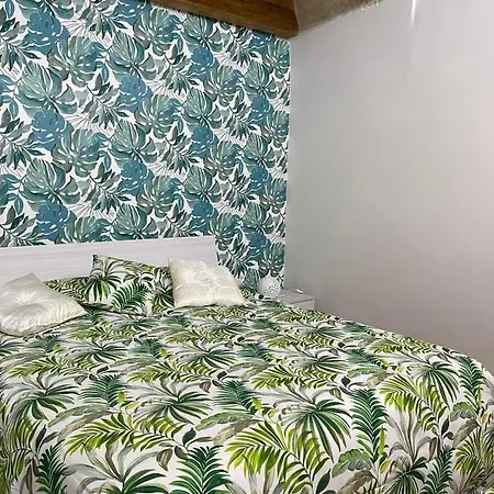 Tropical House Casa vacanze