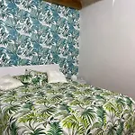 Tropical House بيت للعطل